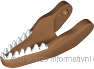 38897pb02 Medium Nougat Dinosaur Jaw Lower Carnotaurus with White Teeth