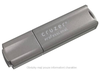 USB Flash SanDisk Cruzer Professional 8GB šedý